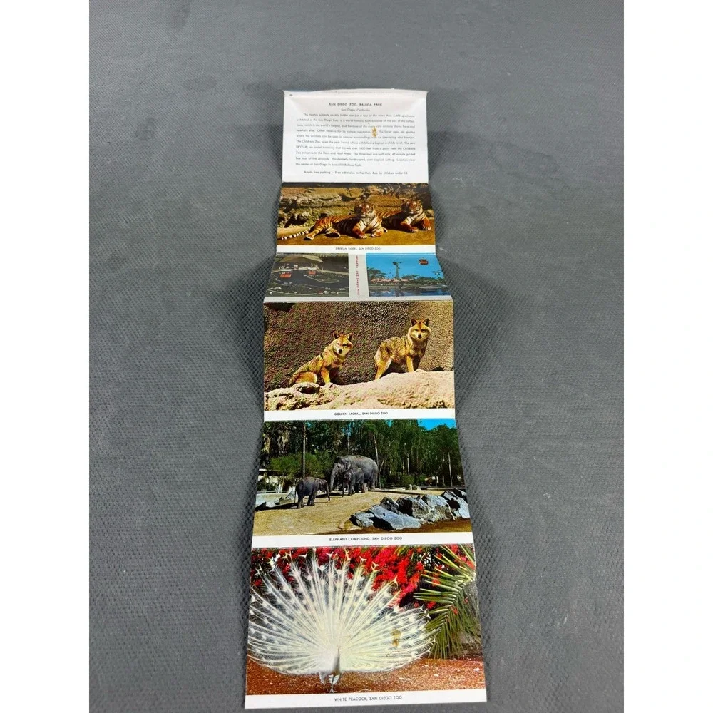 Vintage San Diego Zoo Postcard Folder 12 Views Balboa Park California Curt Teich